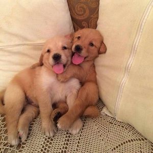 Meet your Posher, Salina